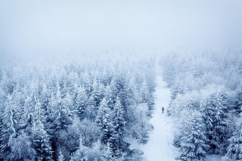Off-the-Grid Adventures